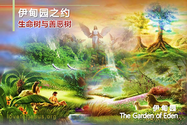 伊甸园-生命树-分别善恶树-圣经创世纪