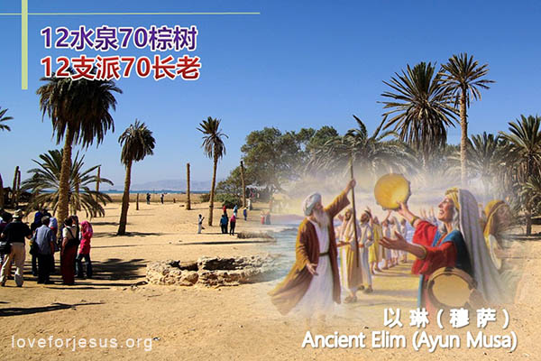 以琳旷野以色列12水泉70棕树-12支派70长老