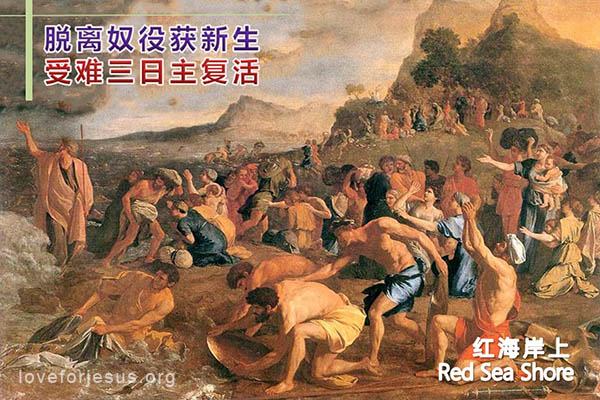 出埃及后的第一个初熟节-旧约圣经