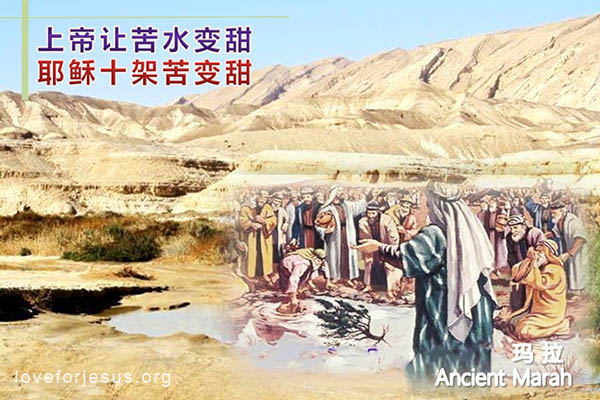 上帝在旷野让苦水变甜-旧约圣经-耶稣十字架预表