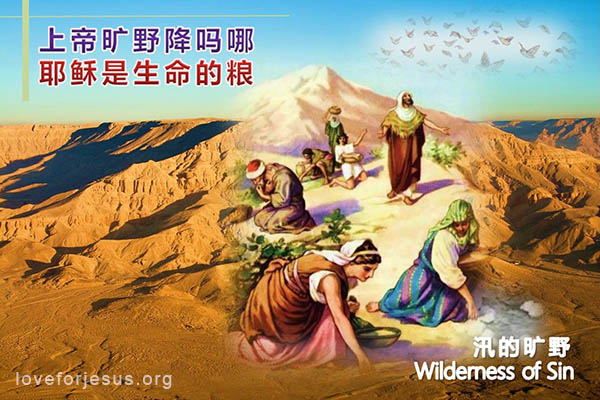 上帝旷野降下吗哪-预表耶稣是生命的粮