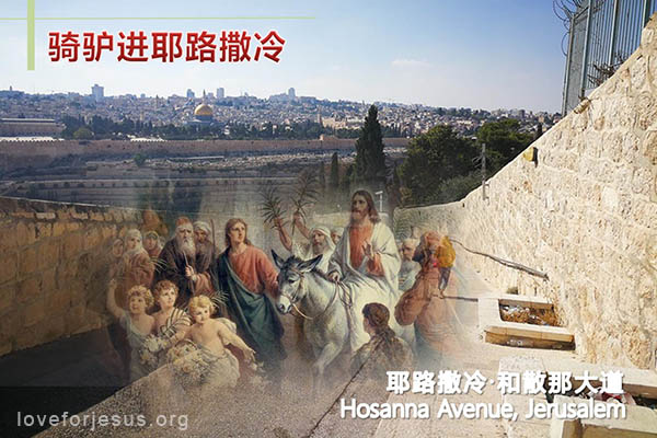耶稣脚踪-耶稣骑驴进耶路撒冷