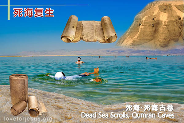 死海复生-死海古卷