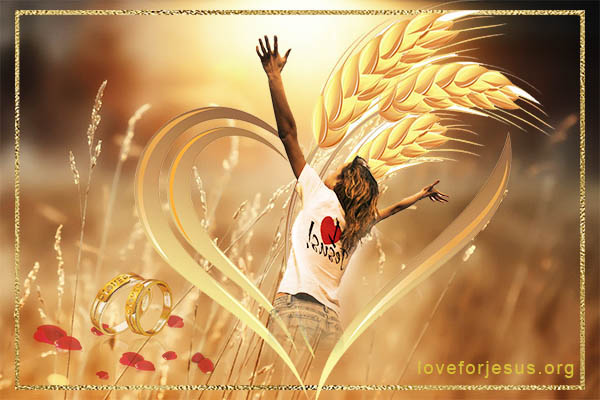 初熟节-初熟的果子-圣经