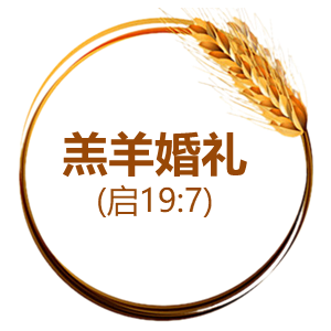 羔羊婚礼小图标