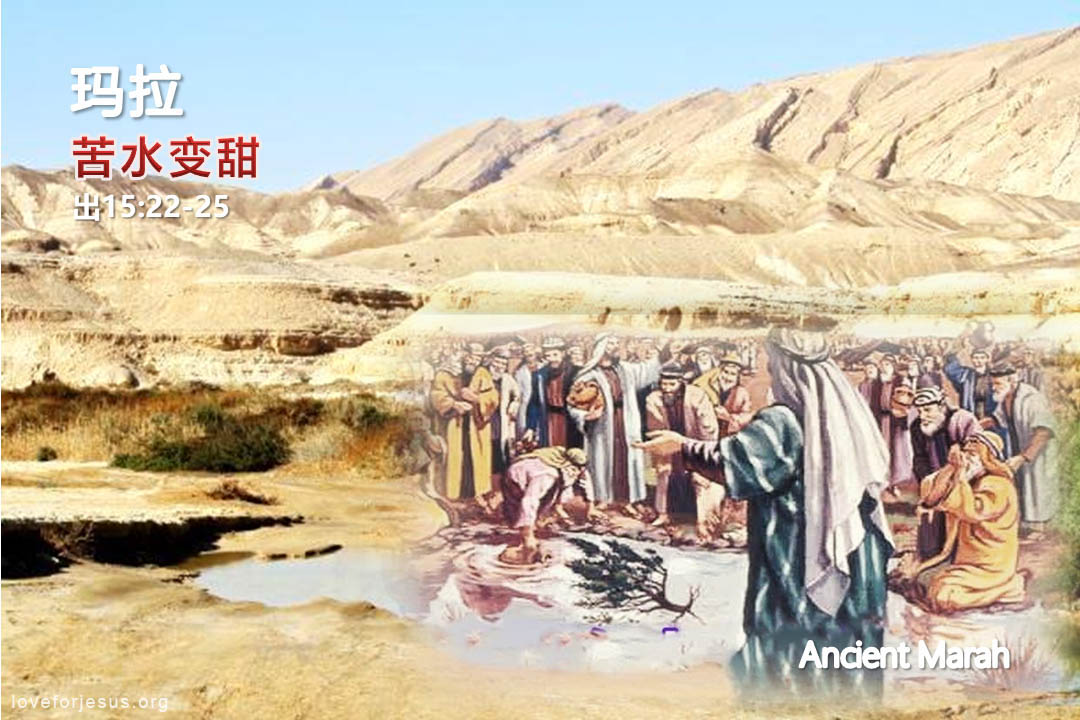 锡安之旅-玛拉-苦水变甜