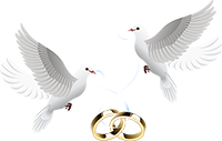 羔羊婚礼-白鸽子和婚戒