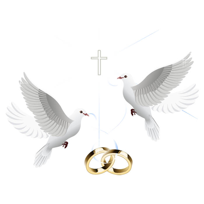羔羊婚礼流程-白鸽子和婚戒