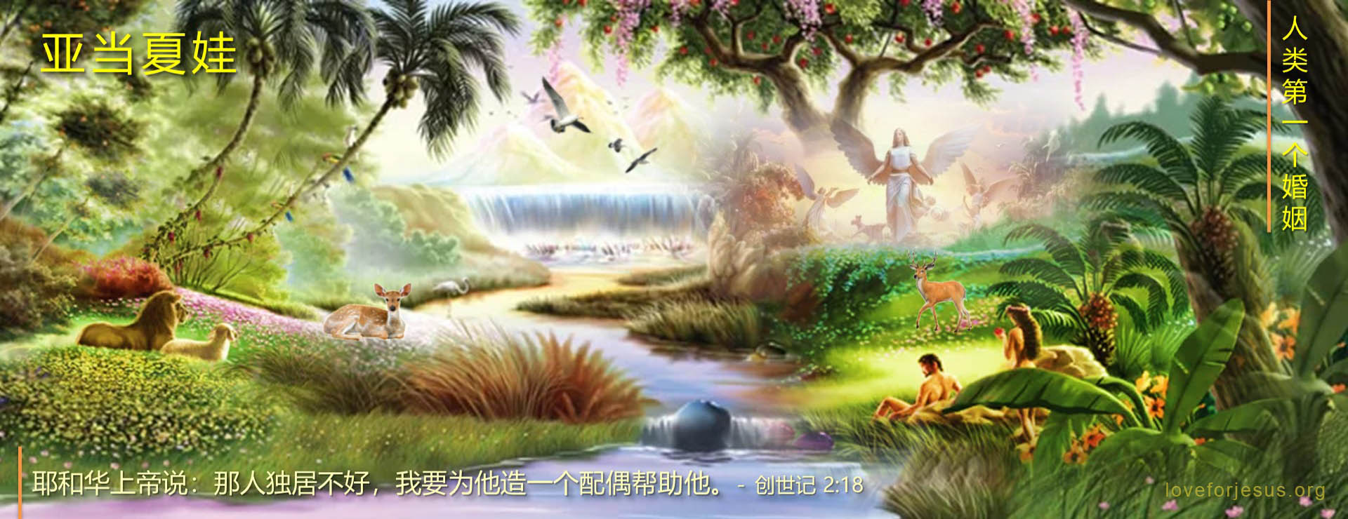 亚当夏娃-夏娃的创造-伊甸园-创世纪2章
