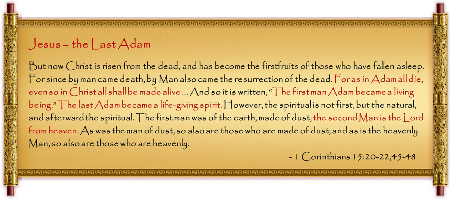 Scripture in Golden Scroll - 1 Corinthians 15:20-22 ,45-48