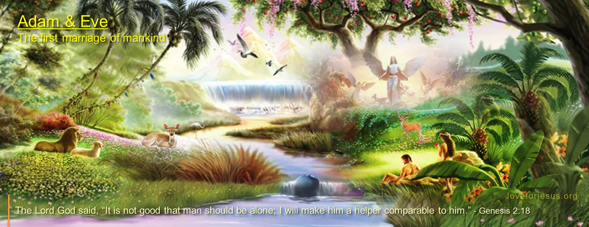 The first marriage of mankind - Genesis 2:18