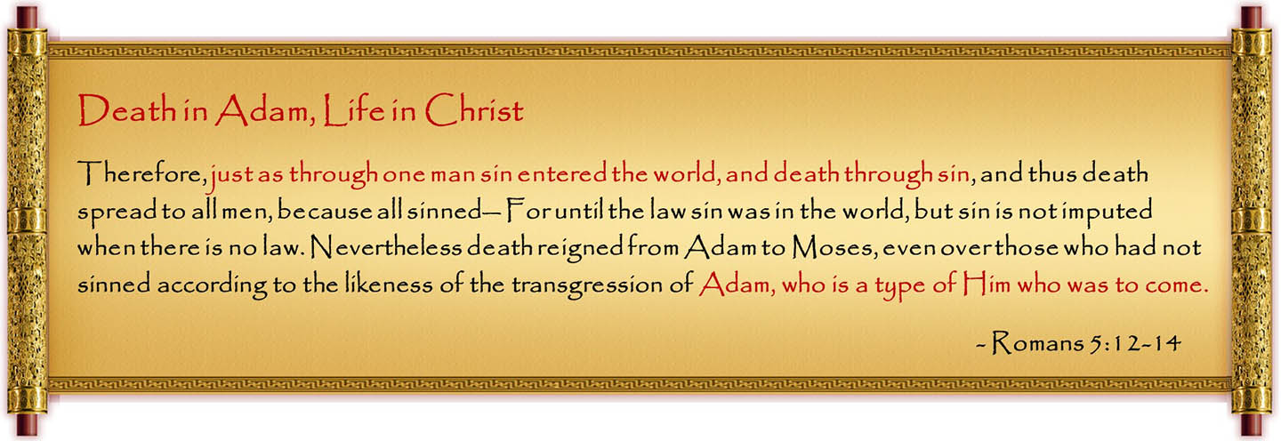 Death in Adam, Life in Christ - Romans 5:12-14