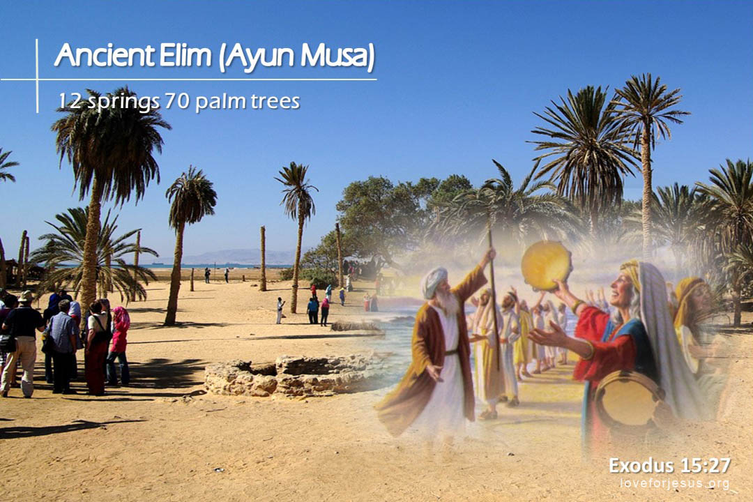 TOHL 07 springs and trees in elim