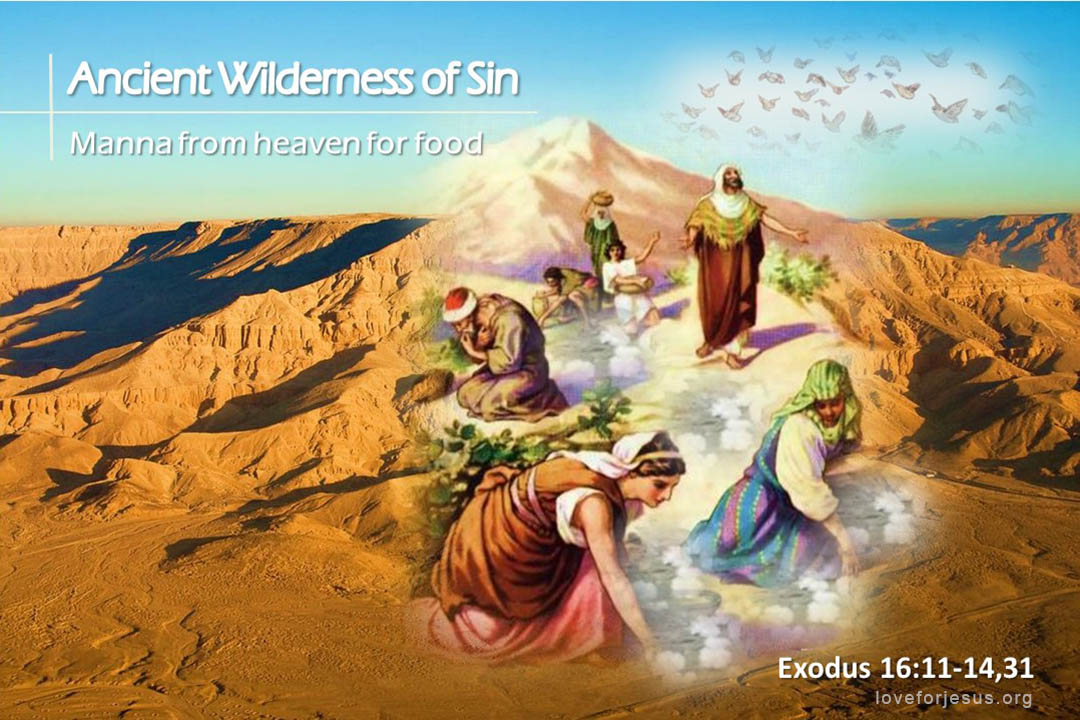 TOHL 08 manna from heaven