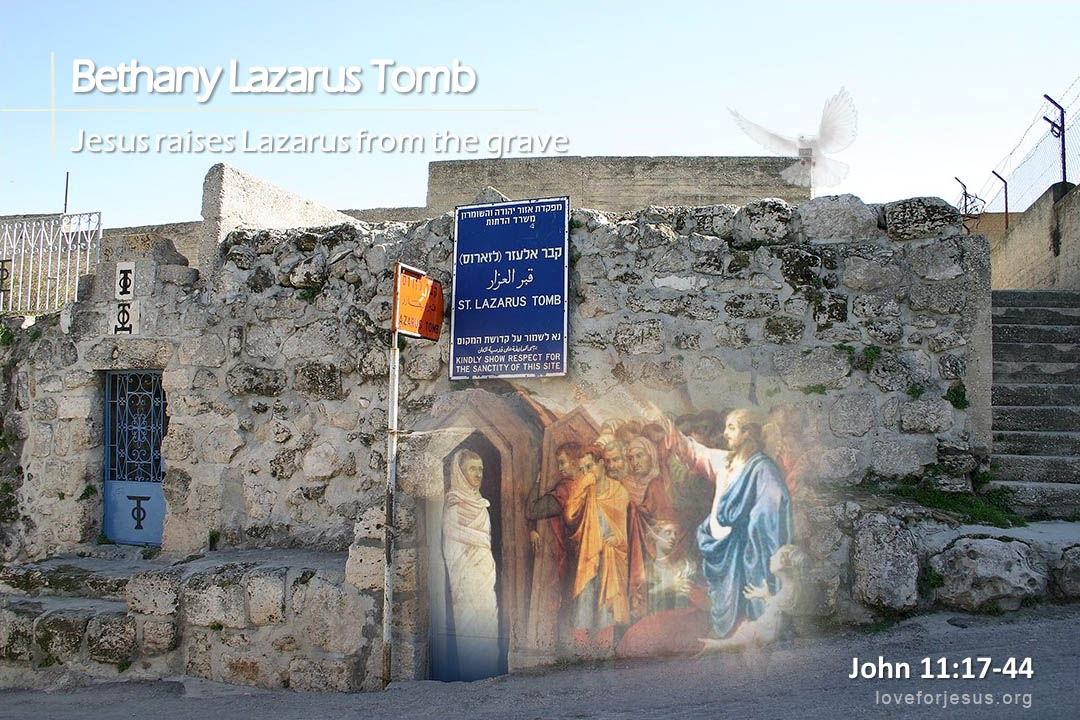 TOHL 24 Jesus raised Lazarus from the dead