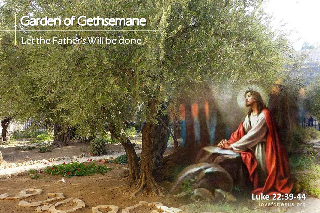 TOHL 29 Jesus prayed in Gethsemane