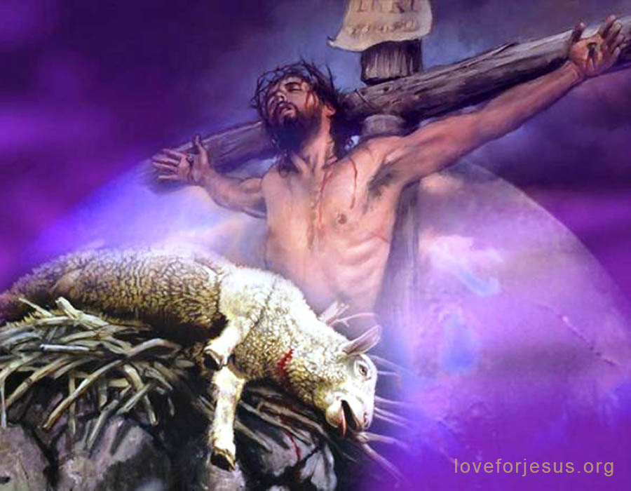 第1步: 分别为圣想象力