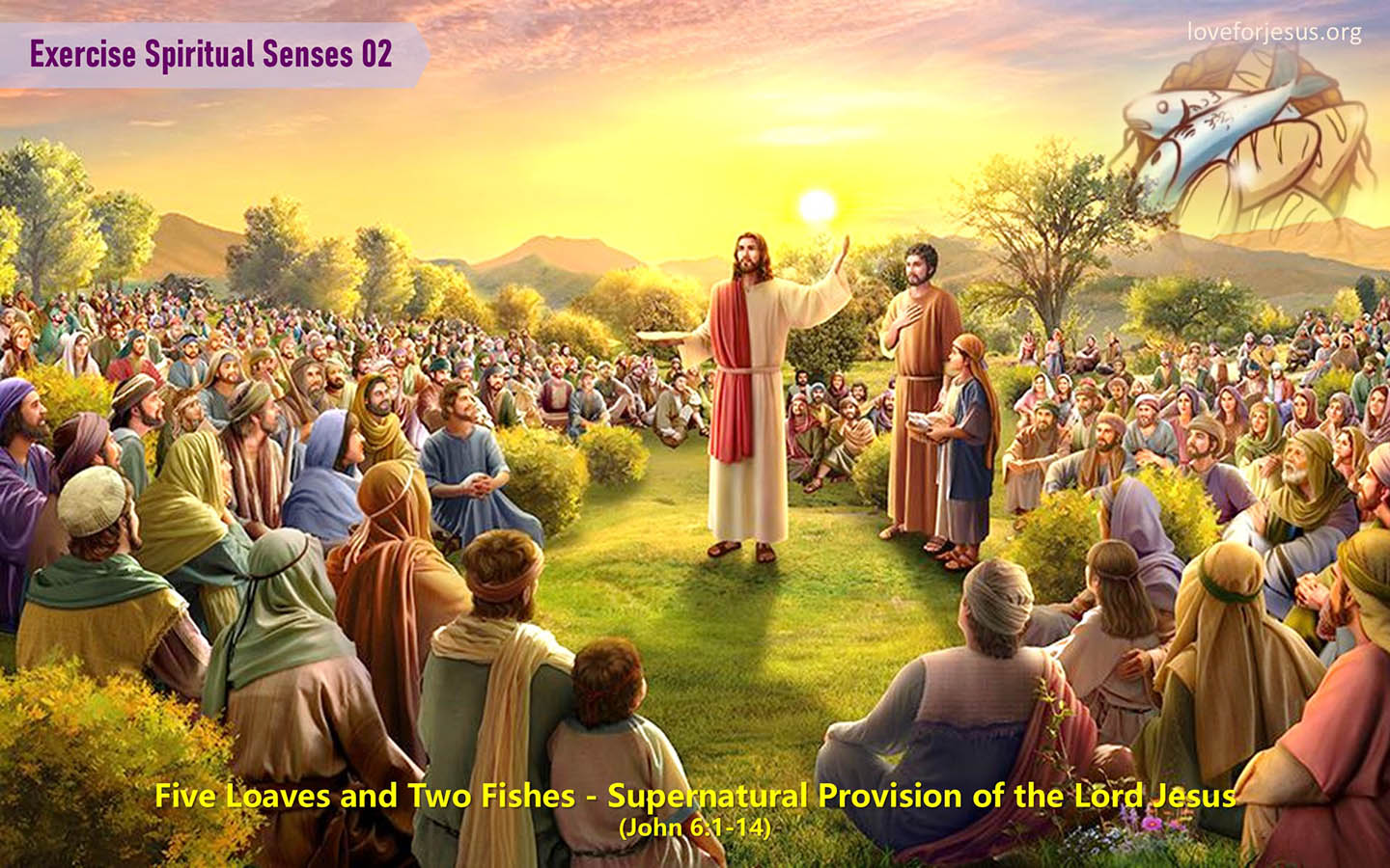 Five Loaves and Two Fishes Supernatural Provision of the Lord Jesus