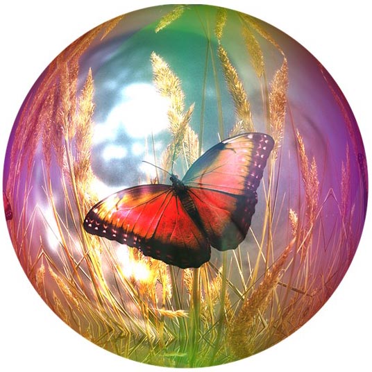 分别为圣的想象力